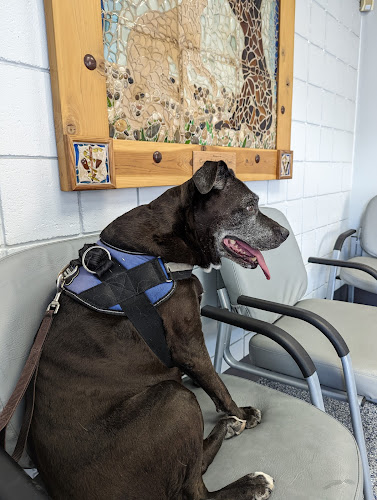 veterinarios en El Paso