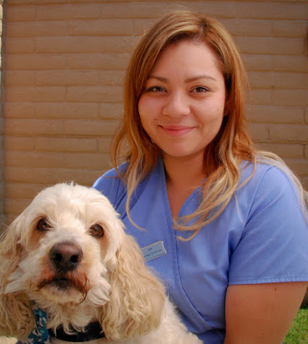 veterinarios en El Paso