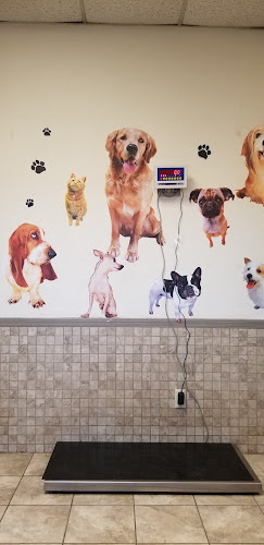 veterinarios en El Paso