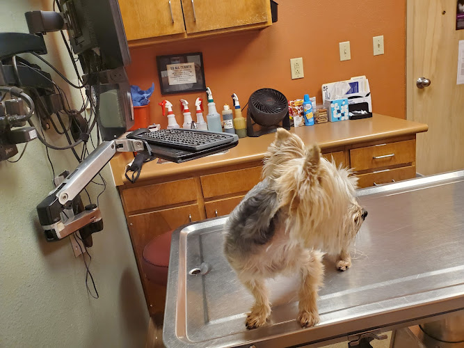 veterinarios en El Paso