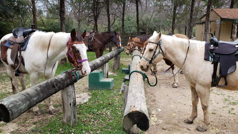 caballos de venta en Dallas