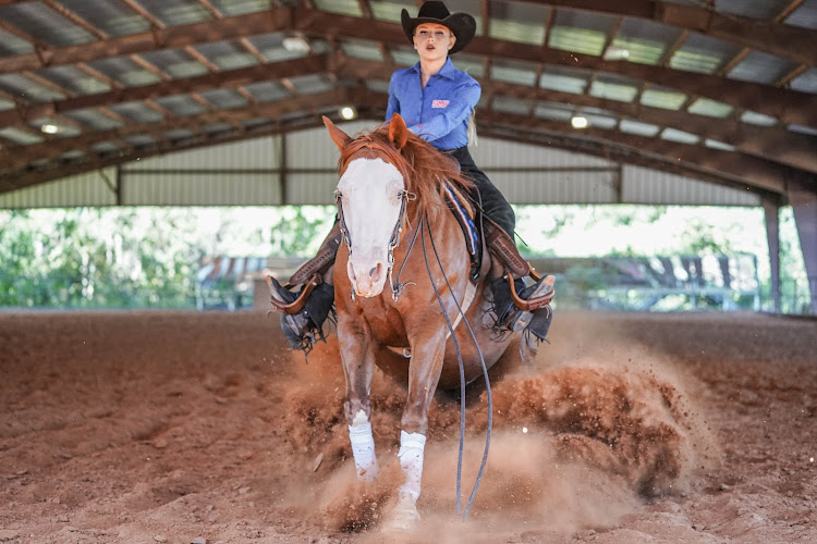 caballos de venta en Dallas