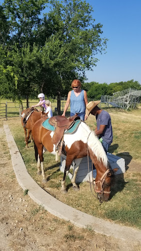 caballos de venta en Dallas